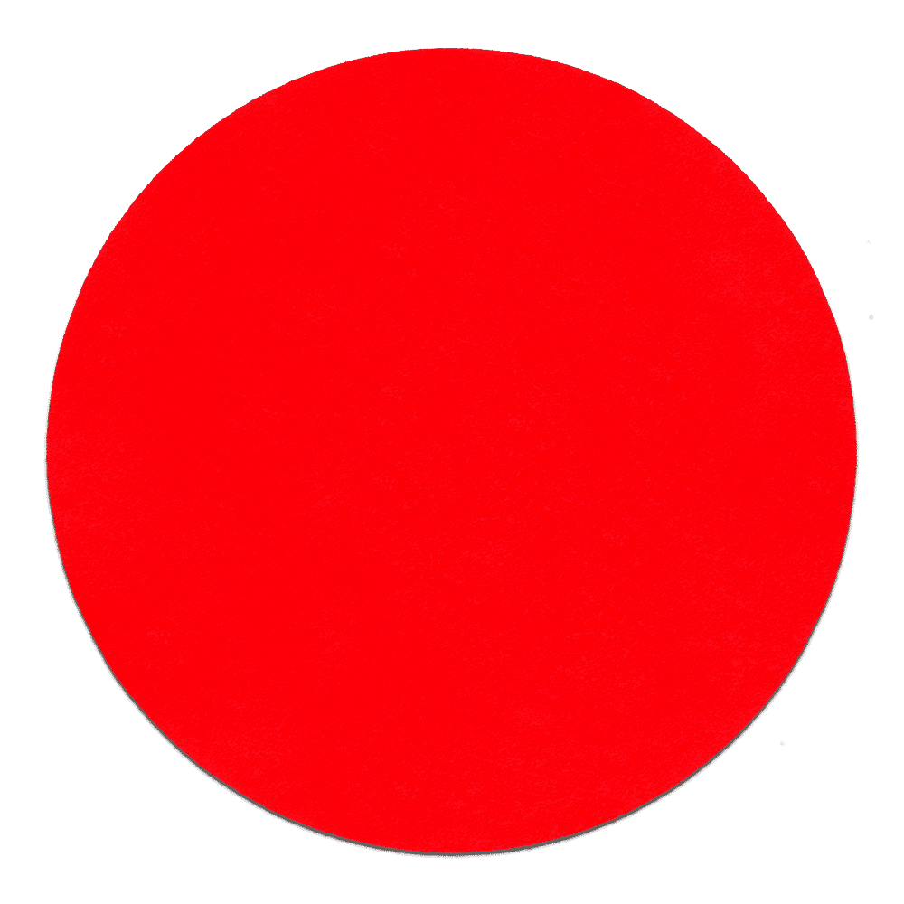 6 in. 220 Grit (Ultra Fine) ROS StickFast Discs (15-Pack)